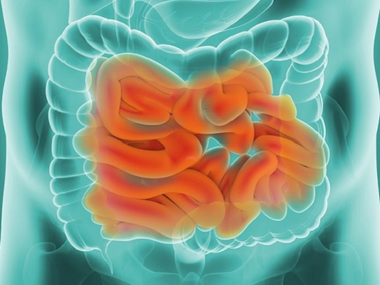  Bowel Screening 